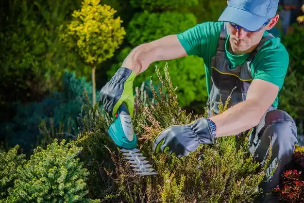 landscaping services Kaser